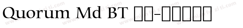 Quorum Md BT 常规字体转换